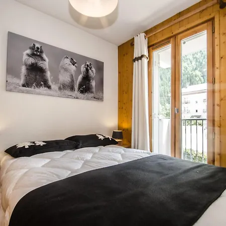 Calme 3 Etoiles Avec Wi-fi Et Parking, - Fr-1-343-212 * 샤모니